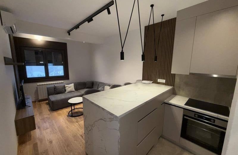 Vermietung einer gemütlichen 2-Zimmer-Wohnung, 50 m², Vračar, Belgrad, Serbien